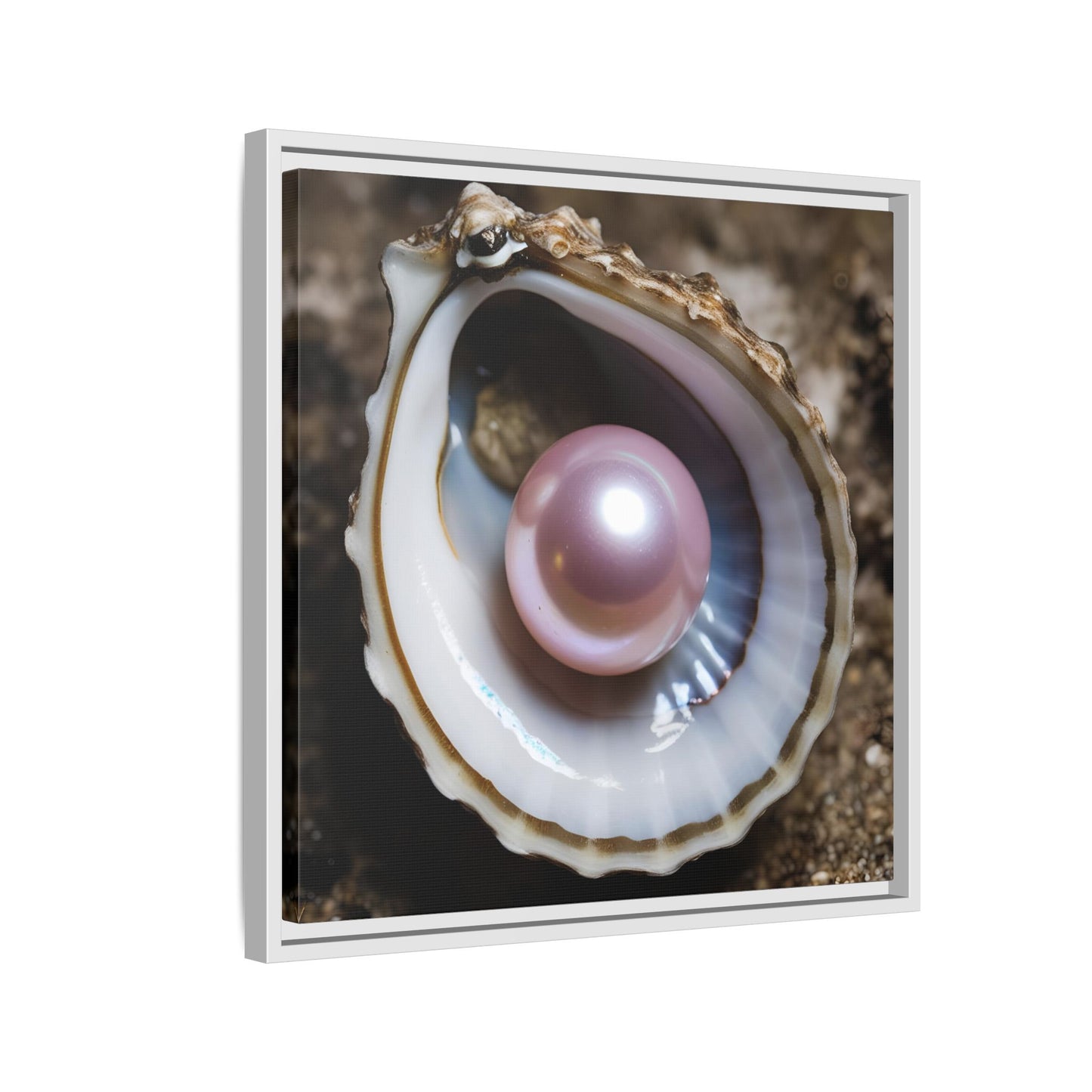 Pink Pearl in Oyster Shell Framed Canvas Wall Art Beach Lover Vacation Oceanic Gift Nature Lover Peaceful Zen Gift 3 frame colors