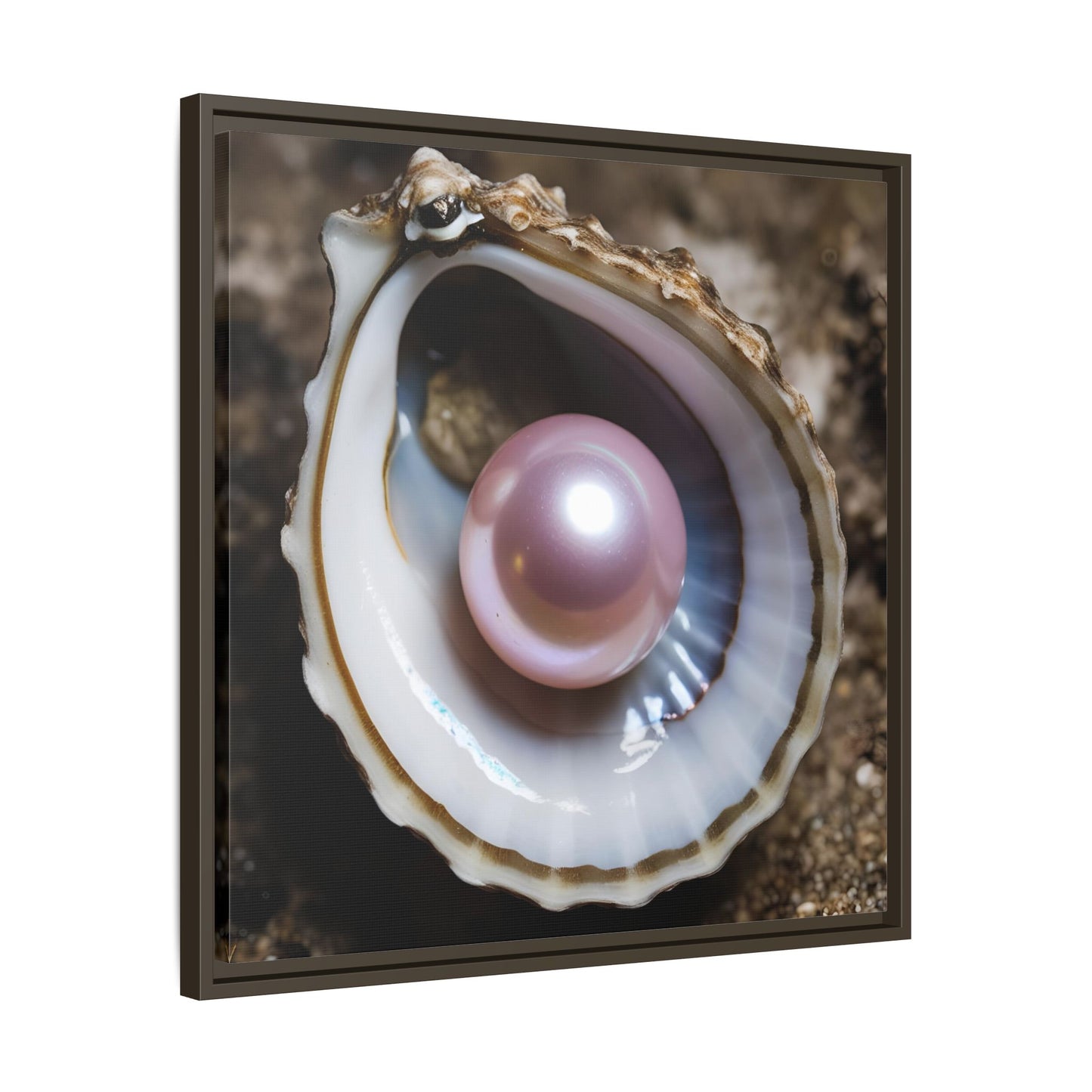 Pink Pearl in Oyster Shell Framed Canvas Wall Art Beach Lover Vacation Oceanic Gift Nature Lover Peaceful Zen Gift 3 frame colors