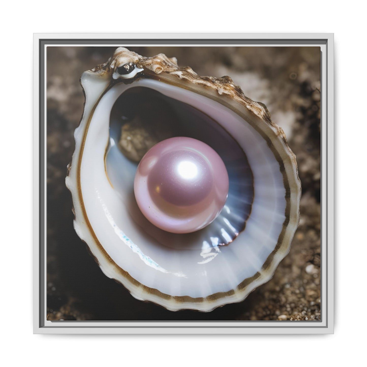 Pink Pearl in Oyster Shell Framed Canvas Wall Art Beach Lover Vacation Oceanic Gift Nature Lover Peaceful Zen Gift 3 frame colors