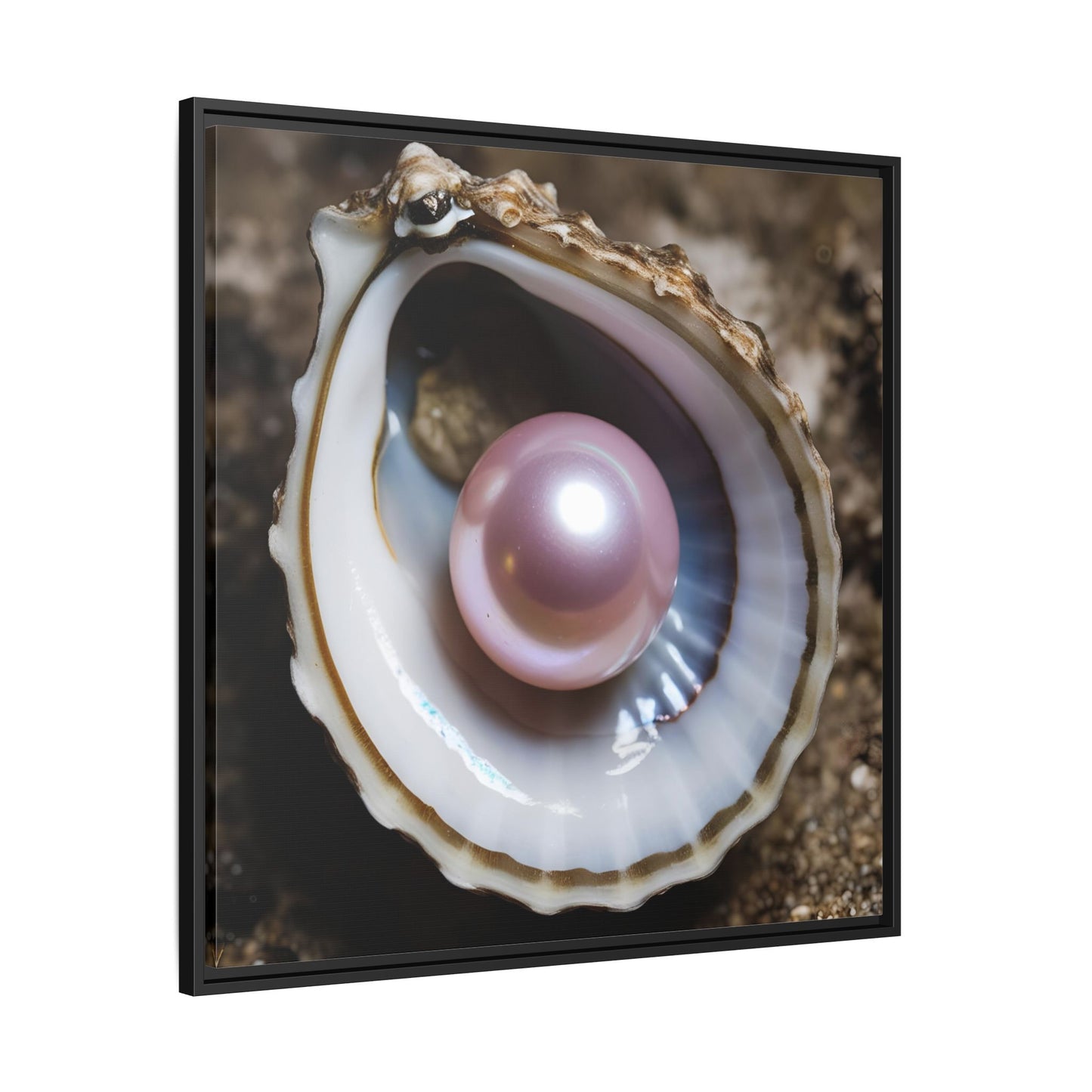 Pink Pearl in Oyster Shell Framed Canvas Wall Art Beach Lover Vacation Oceanic Gift Nature Lover Peaceful Zen Gift 3 frame colors