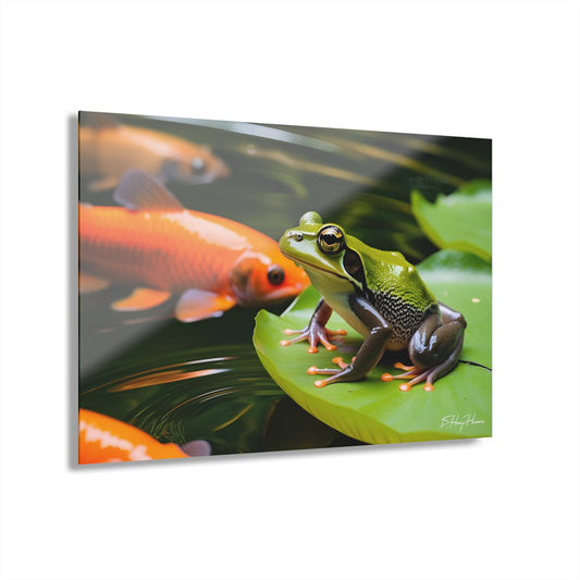Green Frog on Lily Pad Acrylic Print with Carp in Pond Nature Lover Wall Art Animal Lover Gift Artwork Modern Garden Home Decor