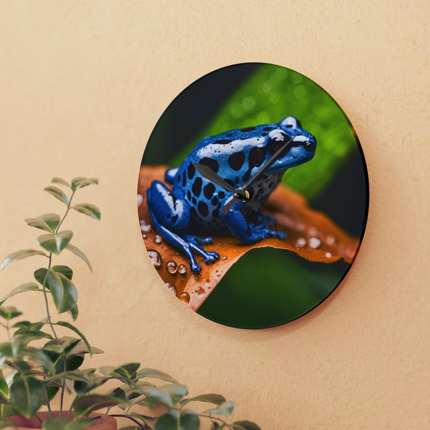 Dart Frog Design Acrylic Clock Unique Colorful Wall Clock for Kitchen or Living Room Nature Lover Gift Rain Forest Gift