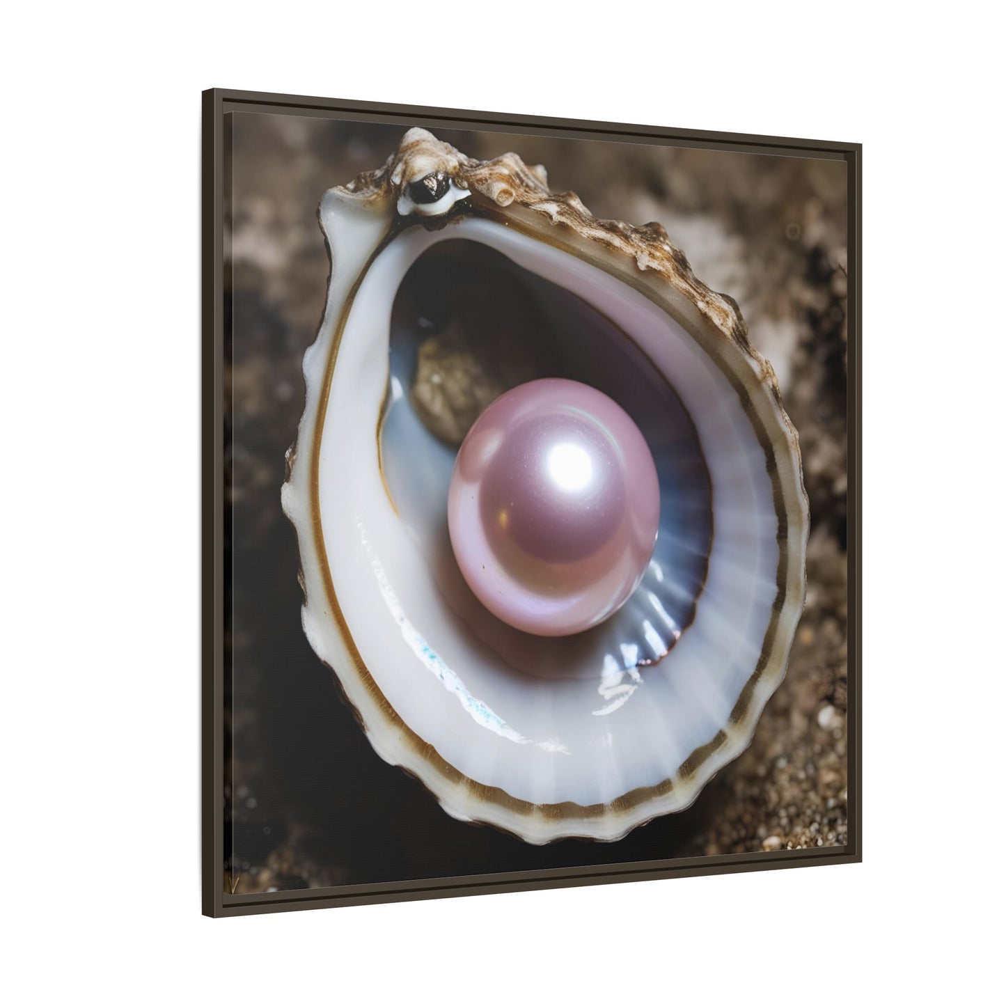 Pink Pearl in Oyster Shell Framed Canvas Wall Art Beach Lover Vacation Oceanic Gift Nature Lover Peaceful Zen Gift 3 frame colors