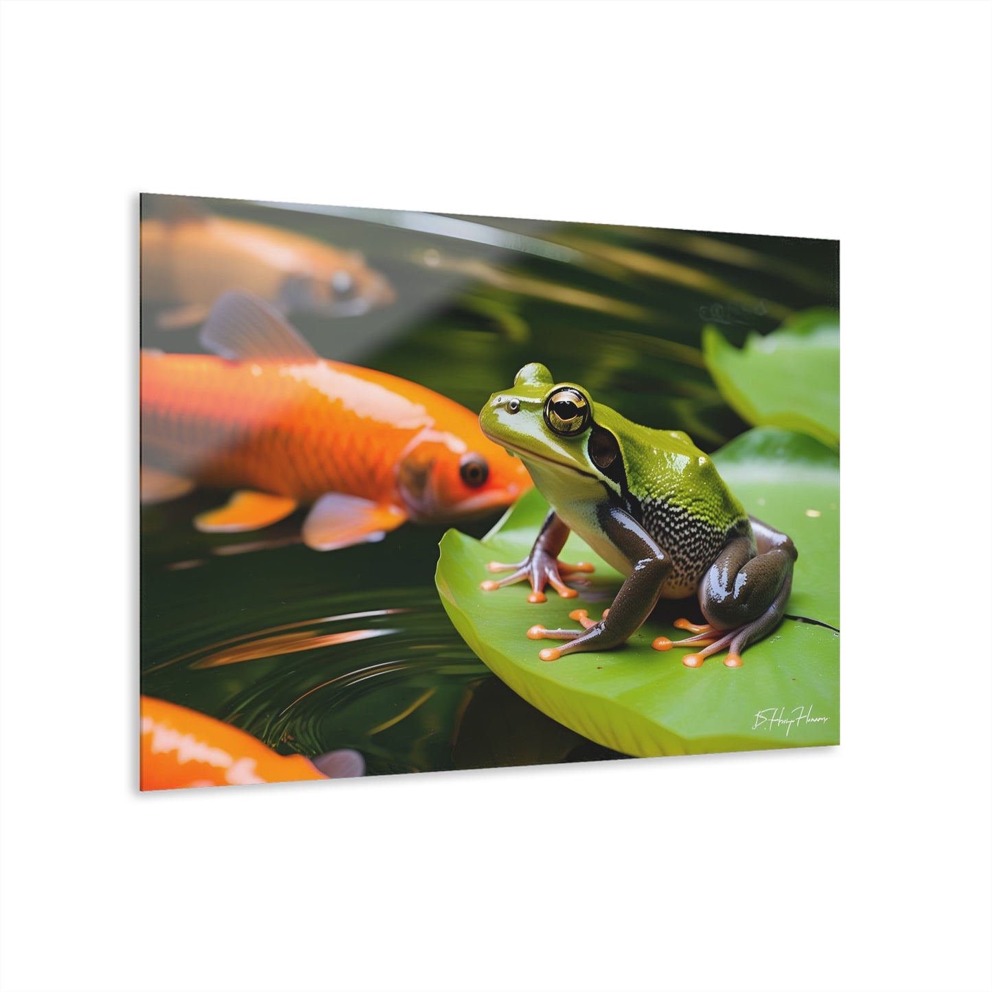 Green Frog on Lily Pad Acrylic Print with Carp in Pond Nature Lover Wall Art Animal Lover Gift Artwork Modern Garden Home Decor