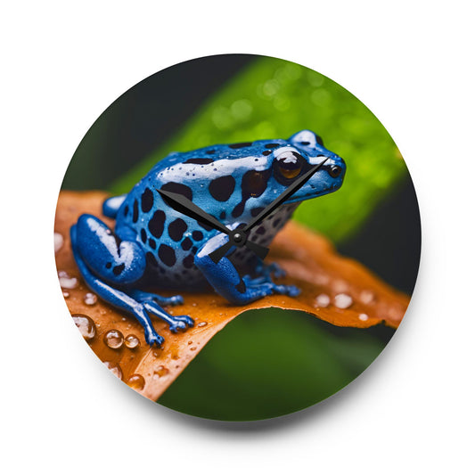 Dart Frog Design Acrylic Clock Unique Colorful Wall Clock for Kitchen or Living Room Nature Lover Gift Rain Forest Gift