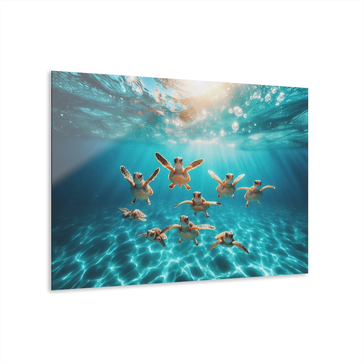 Baby Sea Turtles Out for a Swim Acrylic Print with French Cleat Sea Life Wall Art Underwater Beachy Nature Relaxing Ocean Modern Home Decor