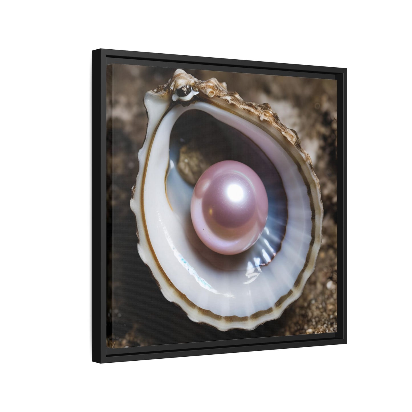Pink Pearl in Oyster Shell Framed Canvas Wall Art Beach Lover Vacation Oceanic Gift Nature Lover Peaceful Zen Gift 3 frame colors