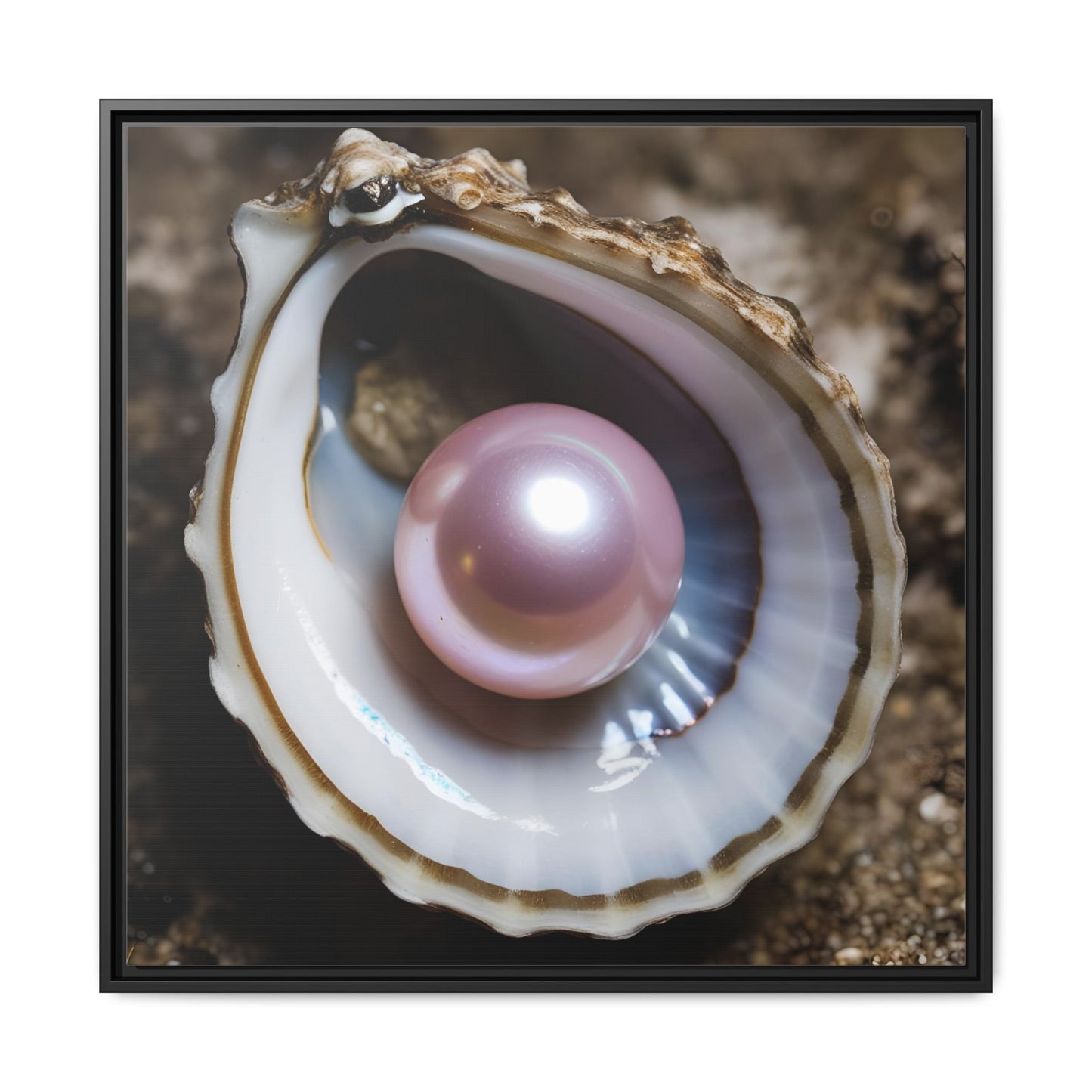 Pink Pearl in Oyster Shell Framed Canvas Wall Art Beach Lover Vacation Oceanic Gift Nature Lover Peaceful Zen Gift 3 frame colors