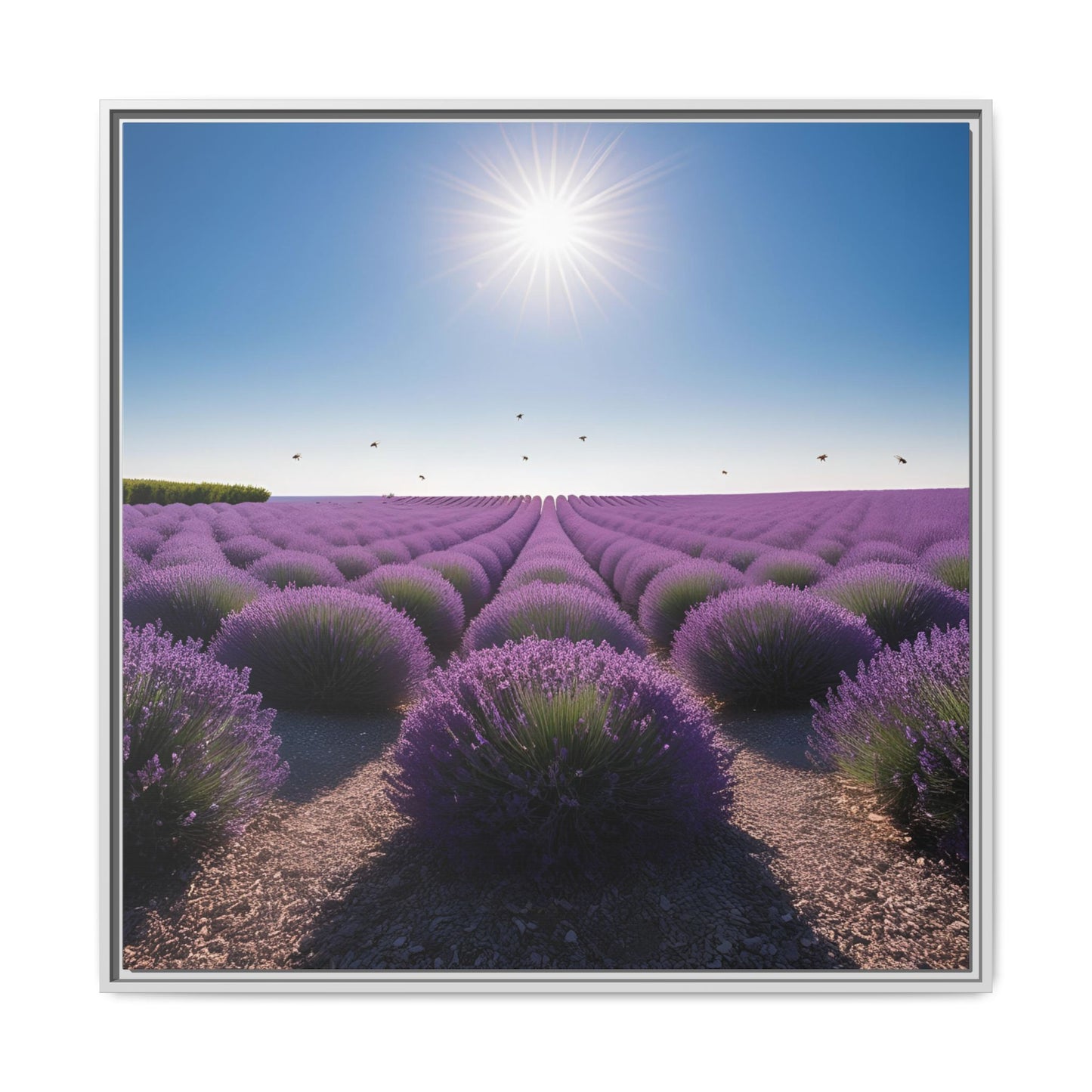Lavender Flower Fields Unique Framed Canvas Wall Art Flower Lover Gift Wildflower Artwork Nature Lover Lanscape Gift 3 frame colors
