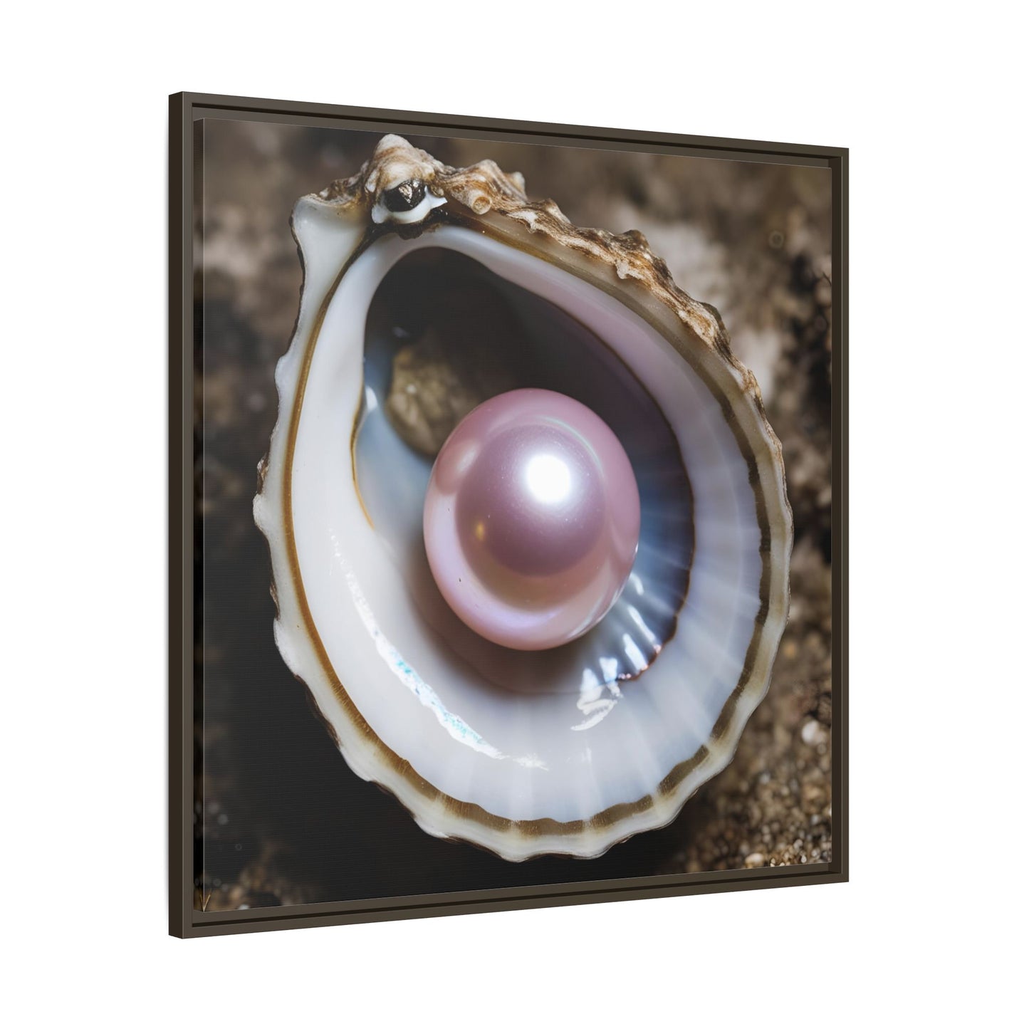 Pink Pearl in Oyster Shell Framed Canvas Wall Art Beach Lover Vacation Oceanic Gift Nature Lover Peaceful Zen Gift 3 frame colors