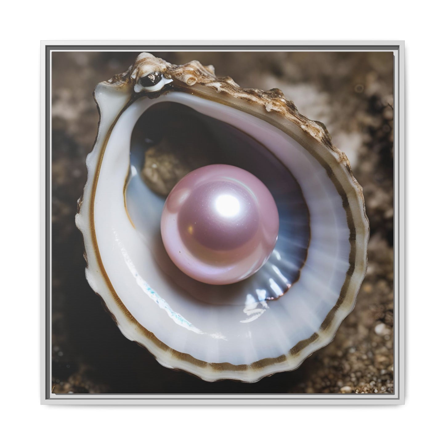Pink Pearl in Oyster Shell Framed Canvas Wall Art Beach Lover Vacation Oceanic Gift Nature Lover Peaceful Zen Gift 3 frame colors