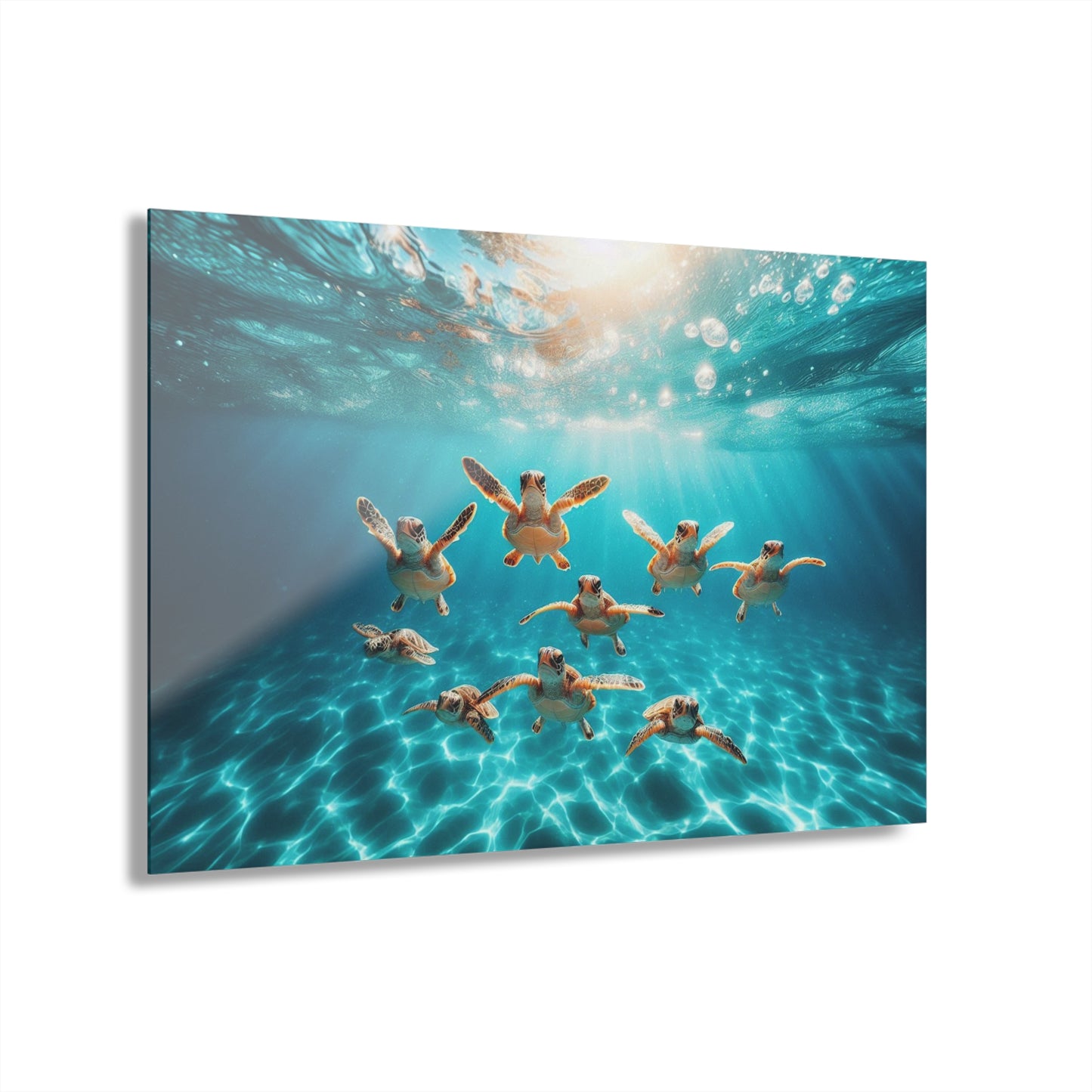 Baby Sea Turtles Out for a Swim Acrylic Print with French Cleat Sea Life Wall Art Underwater Beachy Nature Relaxing Ocean Modern Home Decor