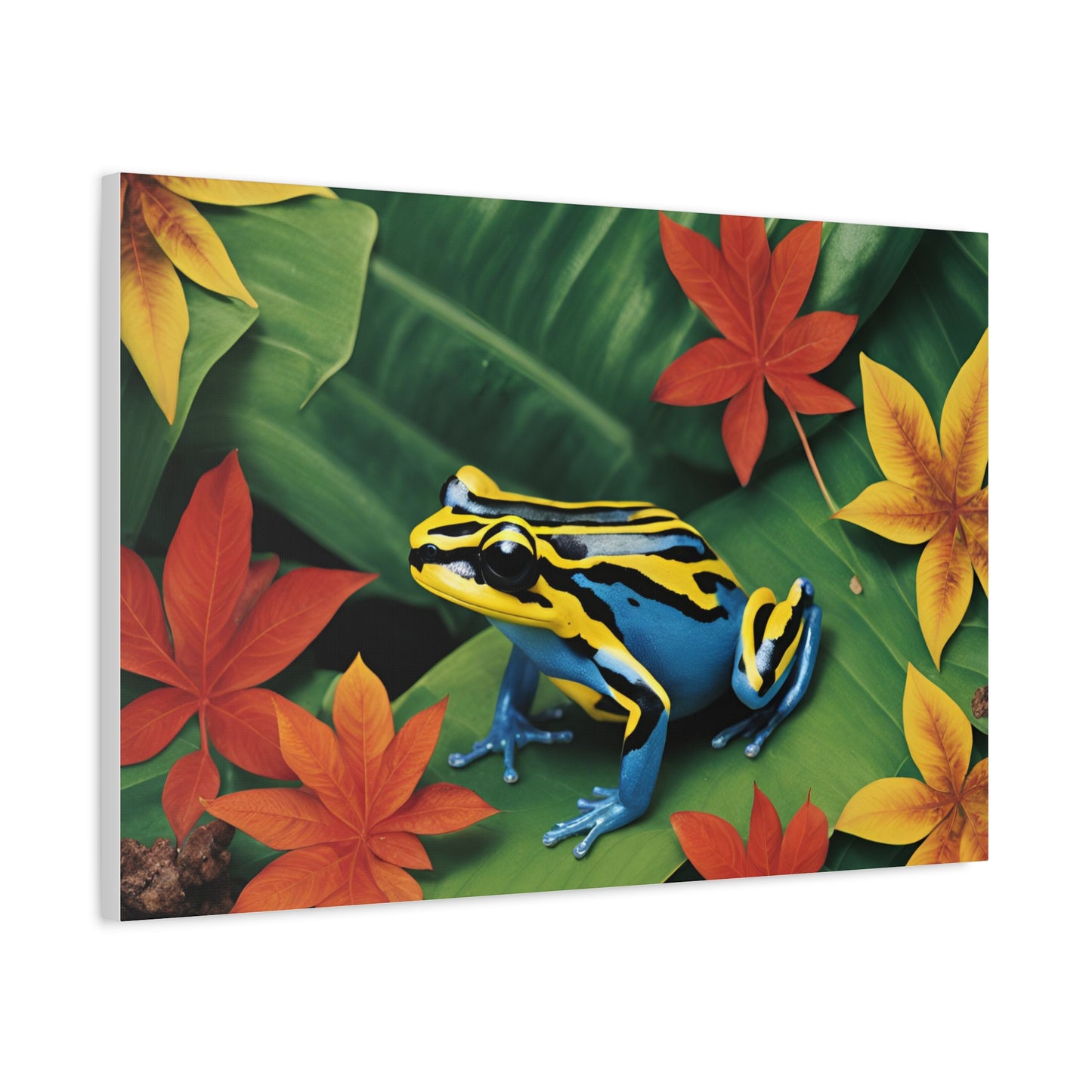 Dart Frog on Leaf Print Wall Art | Matte Canvas, Stretched, 1.25" | Ocean | Nature | Tranquill | Tropical | Fall leaves |