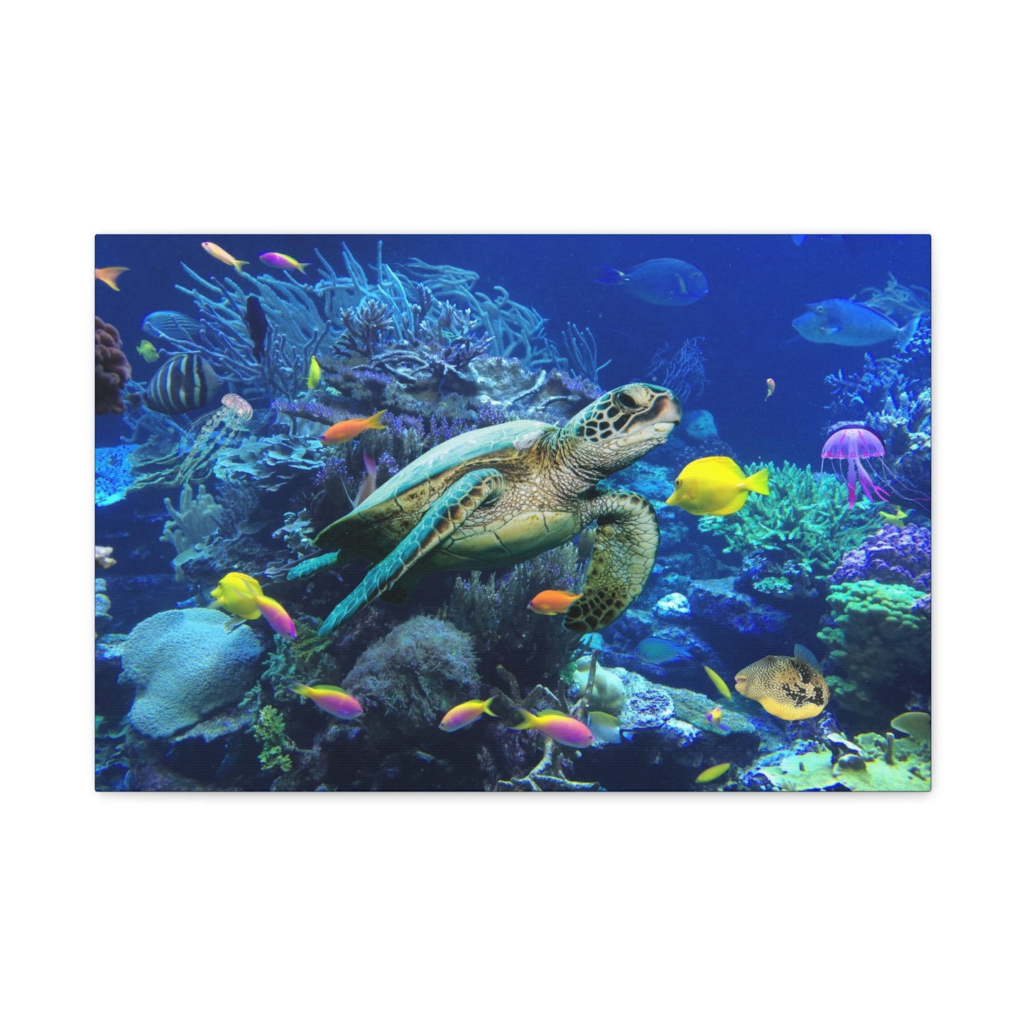 Sea Turtle Underwater Print Wall Art | Matte Canvas, Stretched, 1.25" | Ocean | Nature | Fish | Coral |