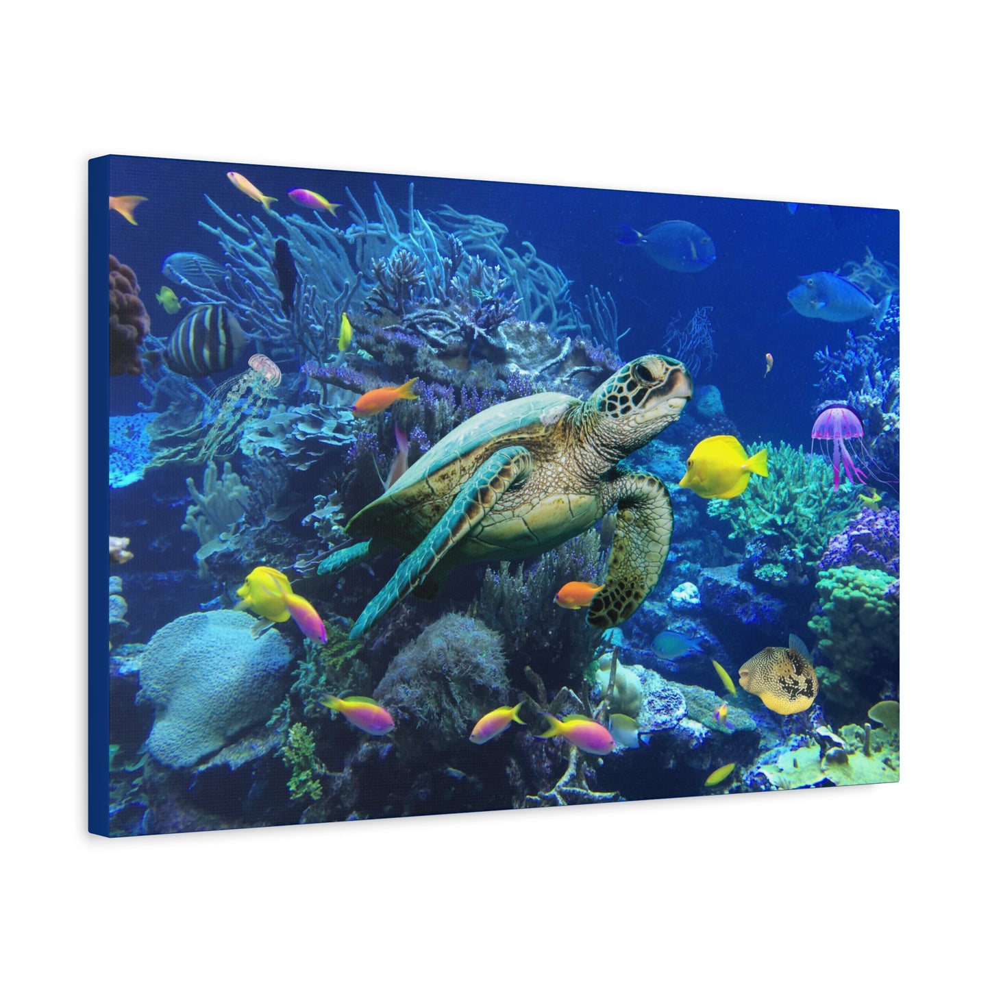 Sea Turtle Underwater Print Wall Art | Matte Canvas, Stretched, 1.25" | Ocean | Nature | Fish | Coral |