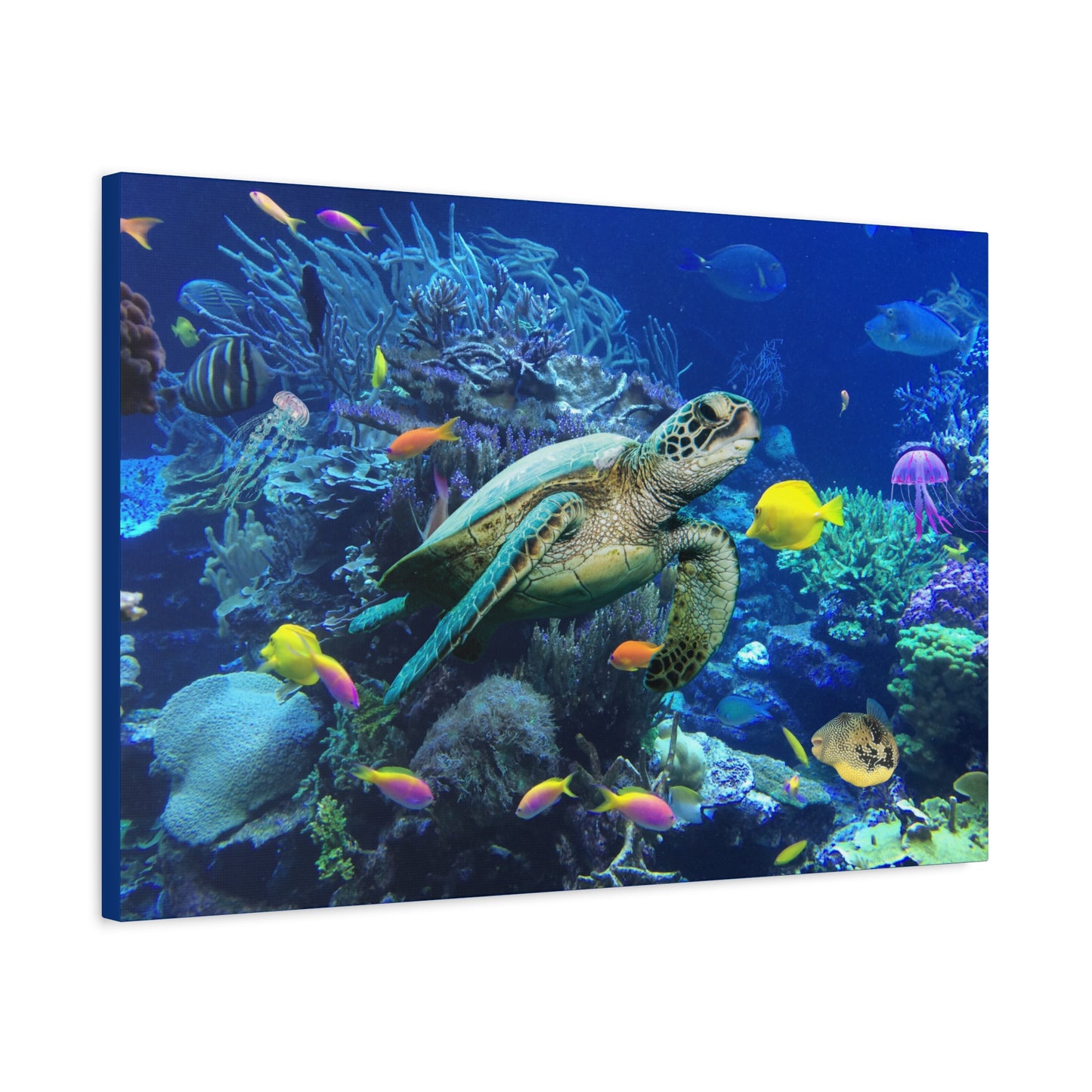 Sea Turtle Underwater Print Wall Art | Matte Canvas, Stretched, 1.25" | Ocean | Nature | Fish | Coral |