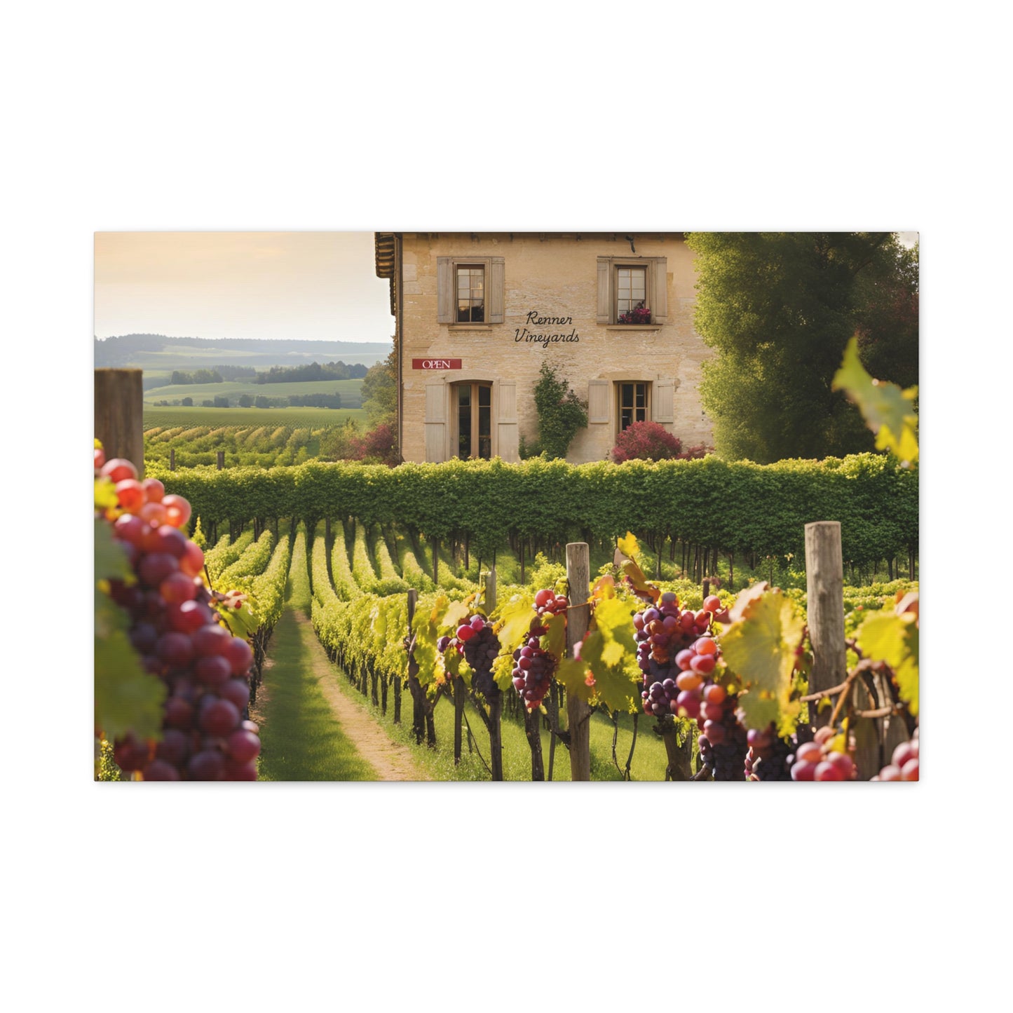 Vineyard Print Wall Art | Matte Canvas, Stretched, 1.25" | Wine Lover Print Culinary Foodie Gift Sommelier Art