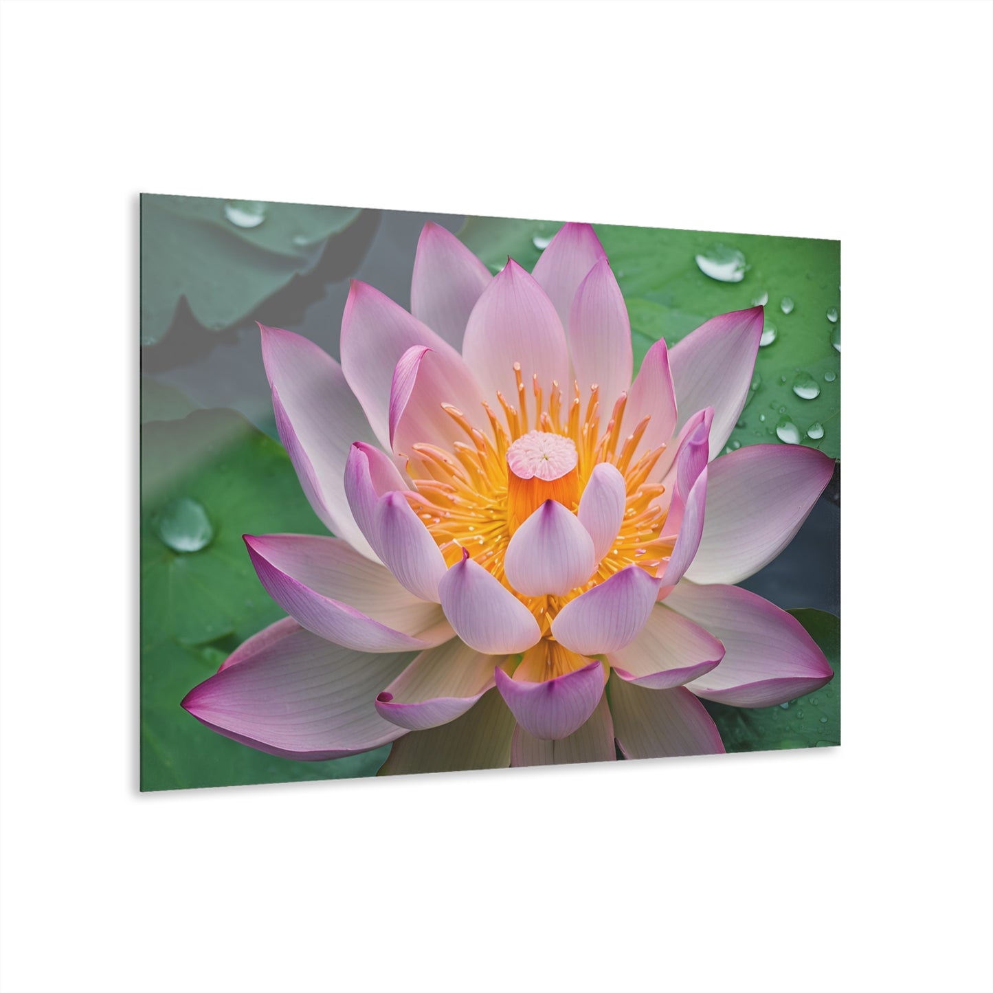 Large Lotus Blossom Floral Design Acrylic Print with French Cleat Nature Lover Wall Art Flower Lover Gift Artwork Modern Garden Home Decor