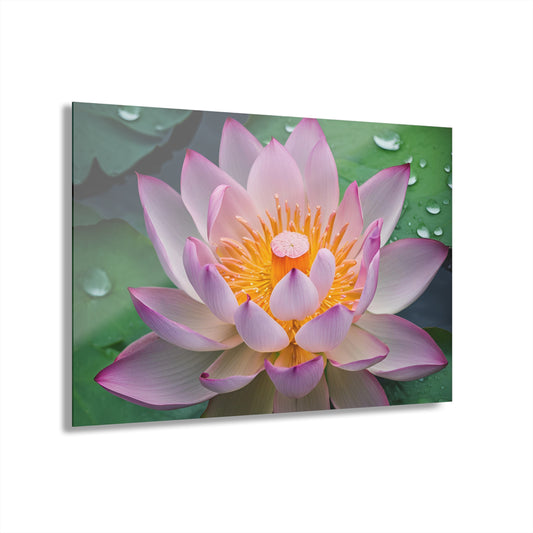 Large Lotus Blossom Floral Design Acrylic Print with French Cleat Nature Lover Wall Art Flower Lover Gift Artwork Modern Garden Home Decor